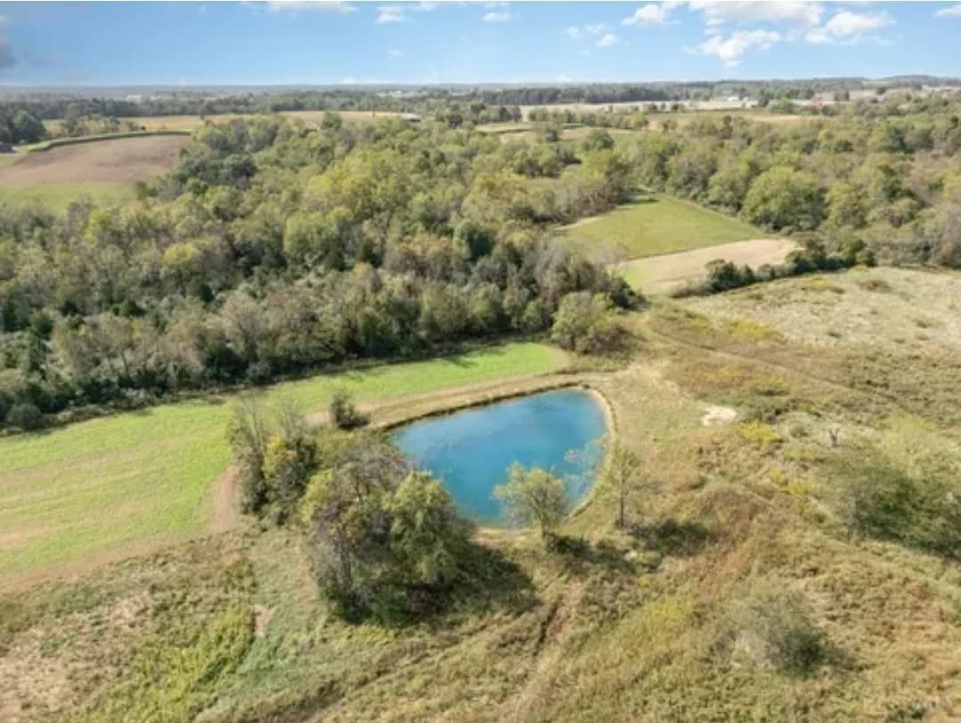 Open fields, woodland and a pond across the Reserve property